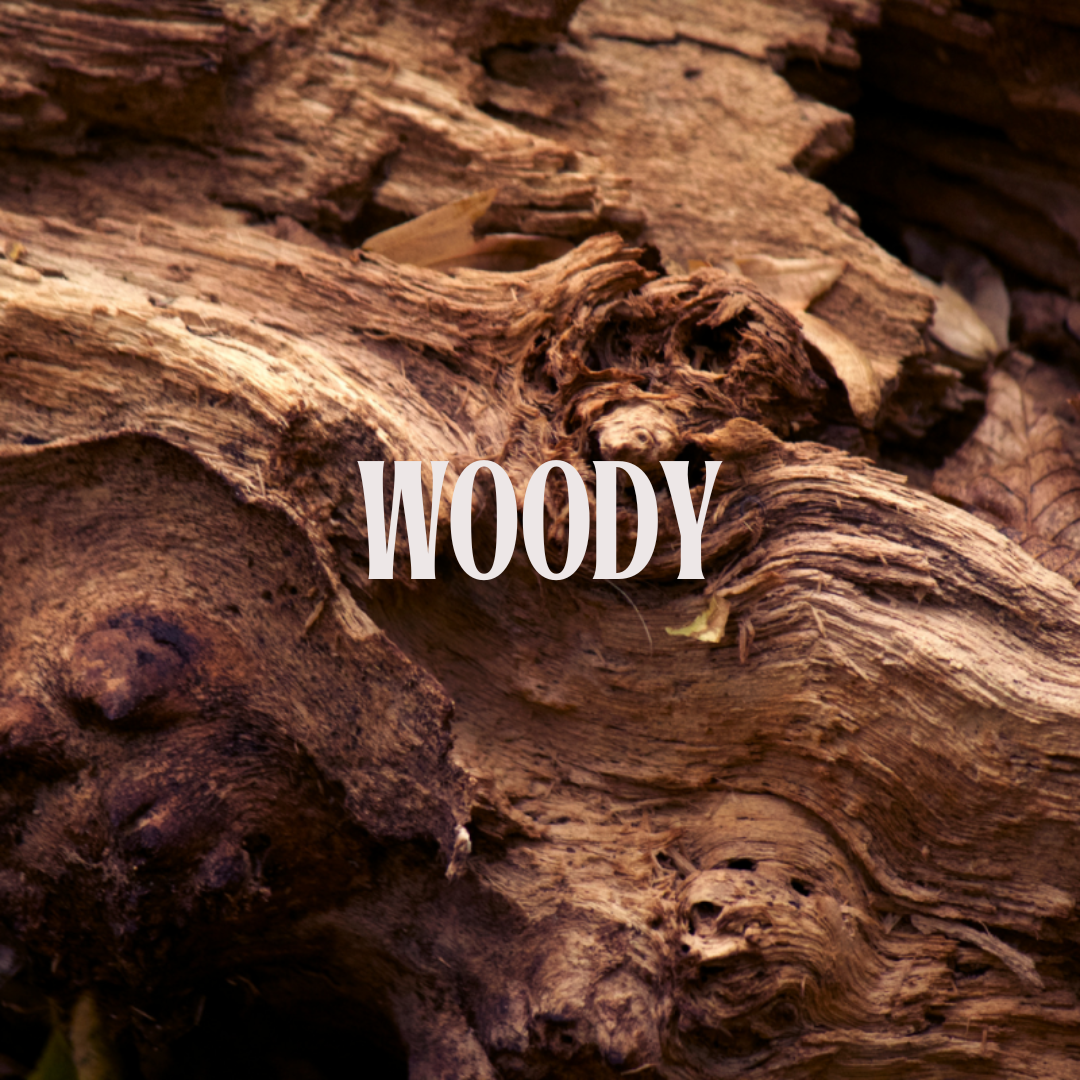 Woody 08