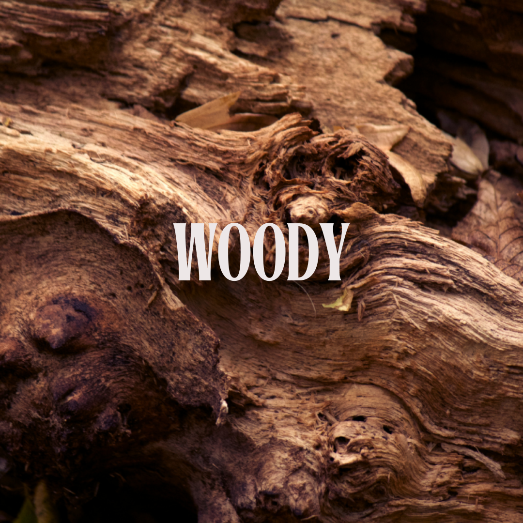 Woody 05